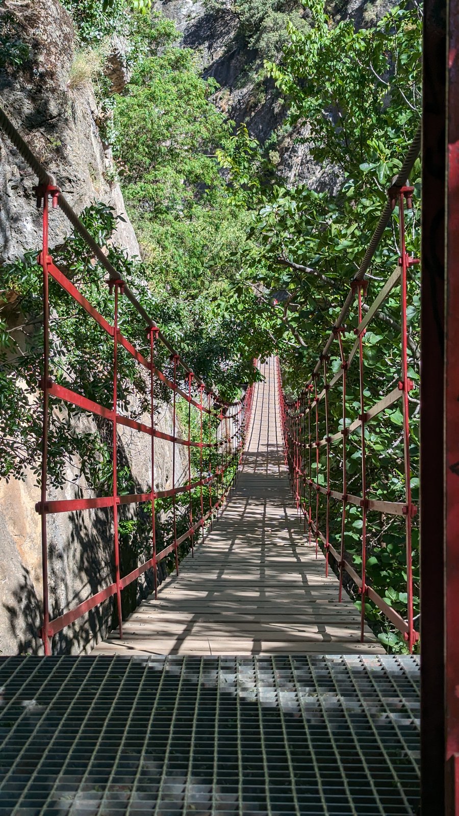 Pasarela suspendida sobre el río